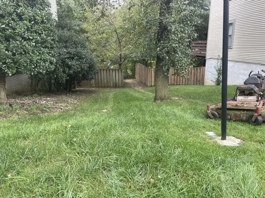 Professional Grounds