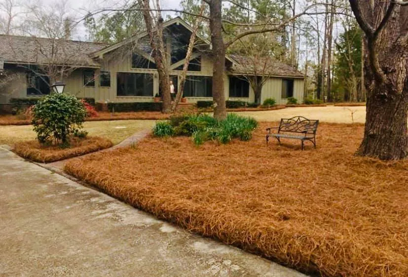 Affordable landscape design in Barnwell, SC - Professional Grounds Management