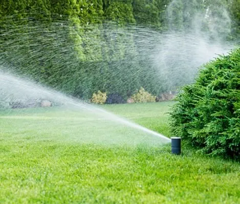 Professional outdoor landscaping in Barnwell, SC by Professional Grounds Management