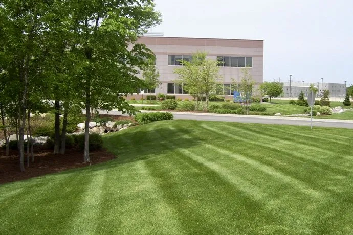 Top-rated lawn care service for residential properties across Barnwell, SC - Professional Grounds Management