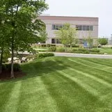Affordable yard cleanup service in Barnwell, SC - Professional Grounds Management