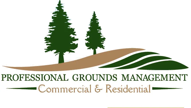 Top-rated yard cleanup service experts serving Barnwell, SC - Professional Grounds Management