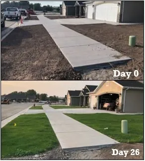 Custom residential landscaping in Lake Point, UT - Professional Hydroseeding