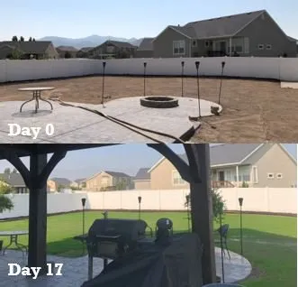 Affordable yard cleanup service in Lake Point, UT - Professional Hydroseeding