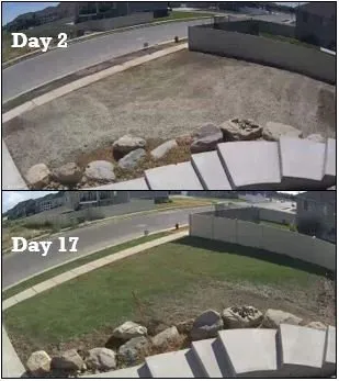 Local yard maintenance for homes in Lake Point, UT by Professional Hydroseeding