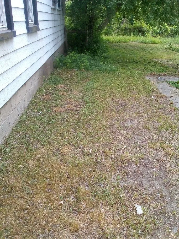 Affordable outdoor landscaping in Detroit, MI by Professional Kuts Lawncare & Hauling Services