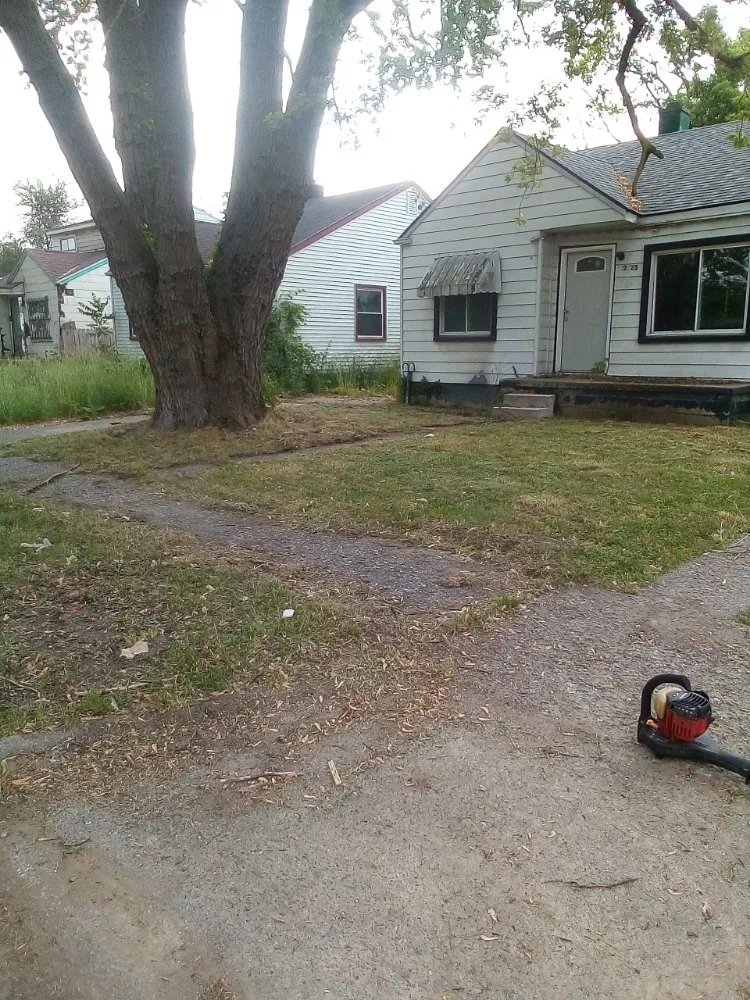 Reliable lawn care service experts serving Detroit, MI - Professional Kuts Lawncare & Hauling Services