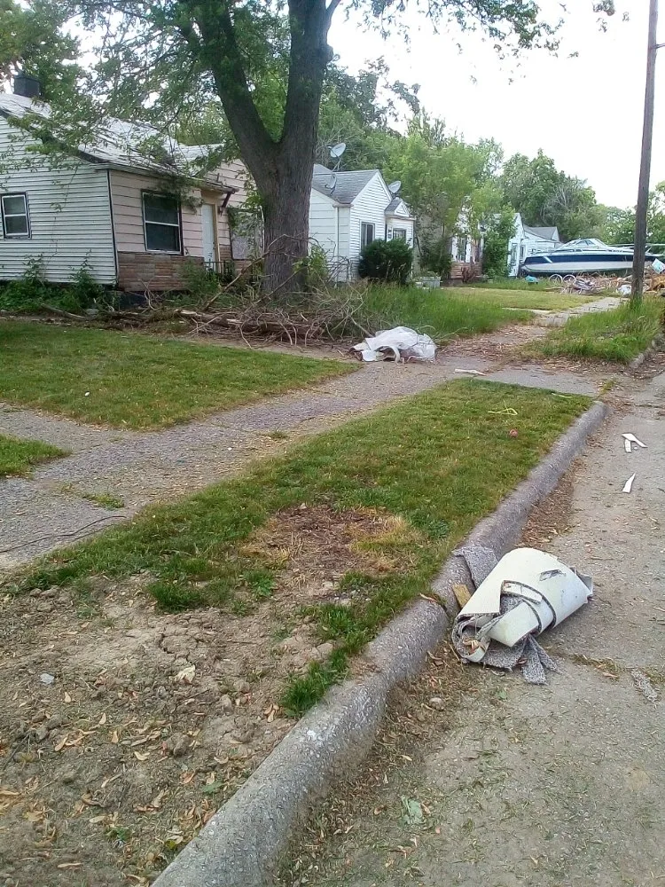 Expert yard maintenance near you in Detroit, MI by Professional Kuts Lawncare & Hauling Services