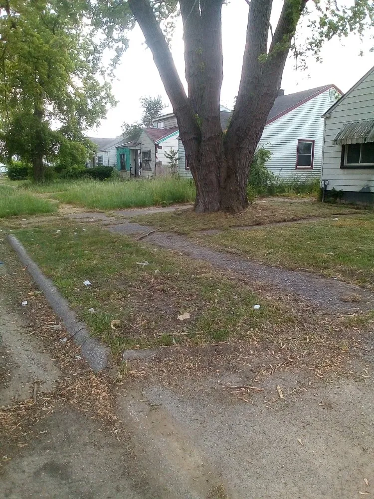 Professional yard cleanup service experts serving Detroit, MI - Professional Kuts Lawncare & Hauling Services