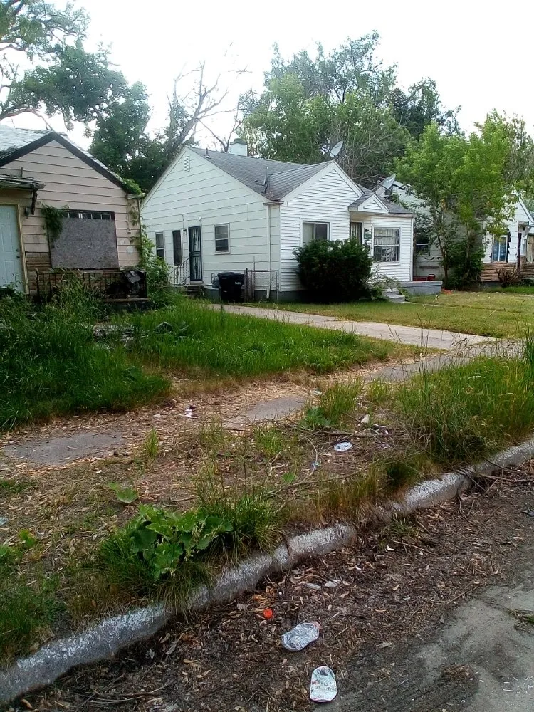 Affordable yard cleanup service near you in Detroit, MI by Professional Kuts Lawncare & Hauling Services