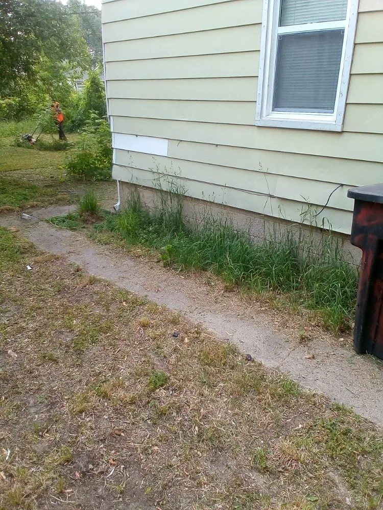 Trusted residential landscaping in Detroit, MI - Professional Kuts Lawncare & Hauling Services