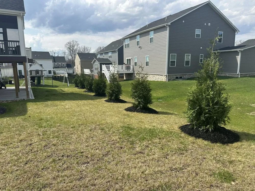 Professional yard maintenance for beautiful yards in Uniontown, PA by Professional Land & Design