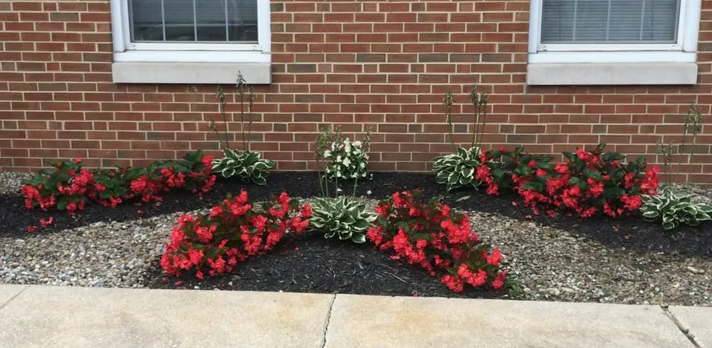 Affordable landscape installation in Severn, MD - Professional Landscape And Tree Service