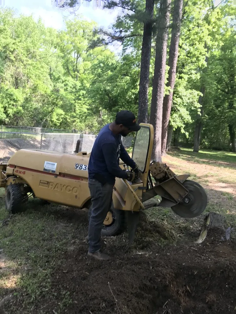 Custom landscape installation experts serving Severn, MD - Professional Landscape And Tree Service