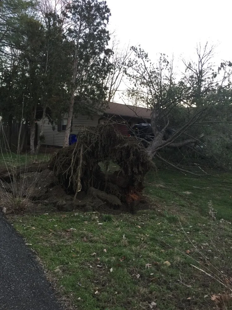 Reliable landscape design for outdoor upgrades across Severn, MD - Professional Landscape And Tree Service