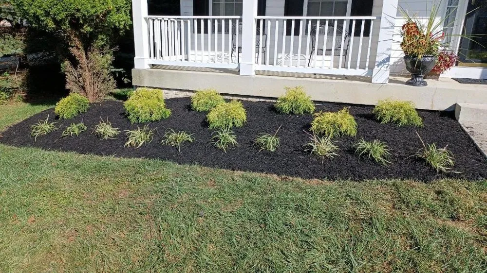 Professional landscaping services near you across Severn, MD - Professional Landscape And Tree Service