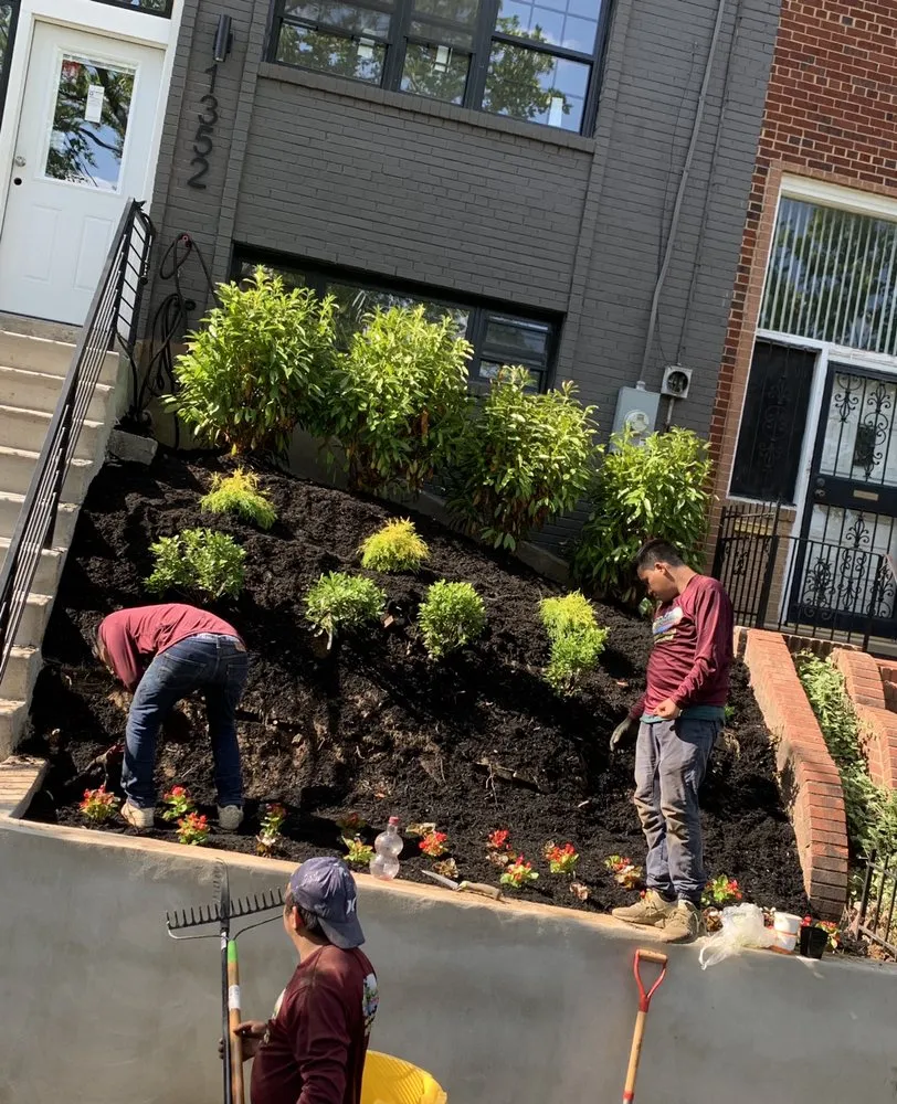 Professional residential landscaping with custom design across Severn, MD - Professional Landscape And Tree Service