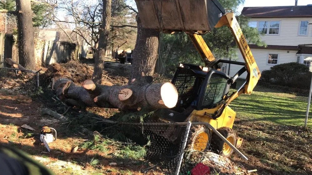 Custom outdoor landscaping experts serving Severn, MD - Professional Landscape And Tree Service