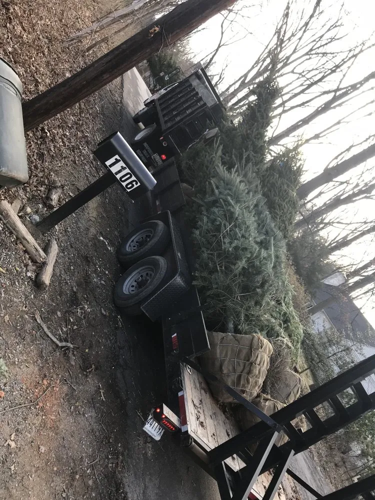 Affordable outdoor landscaping near you in Severn, MD by Professional Landscape And Tree Service