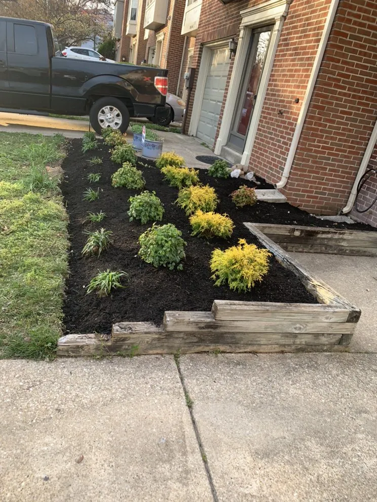 Custom landscape installation experts serving Severn, MD - Professional Landscape And Tree Service