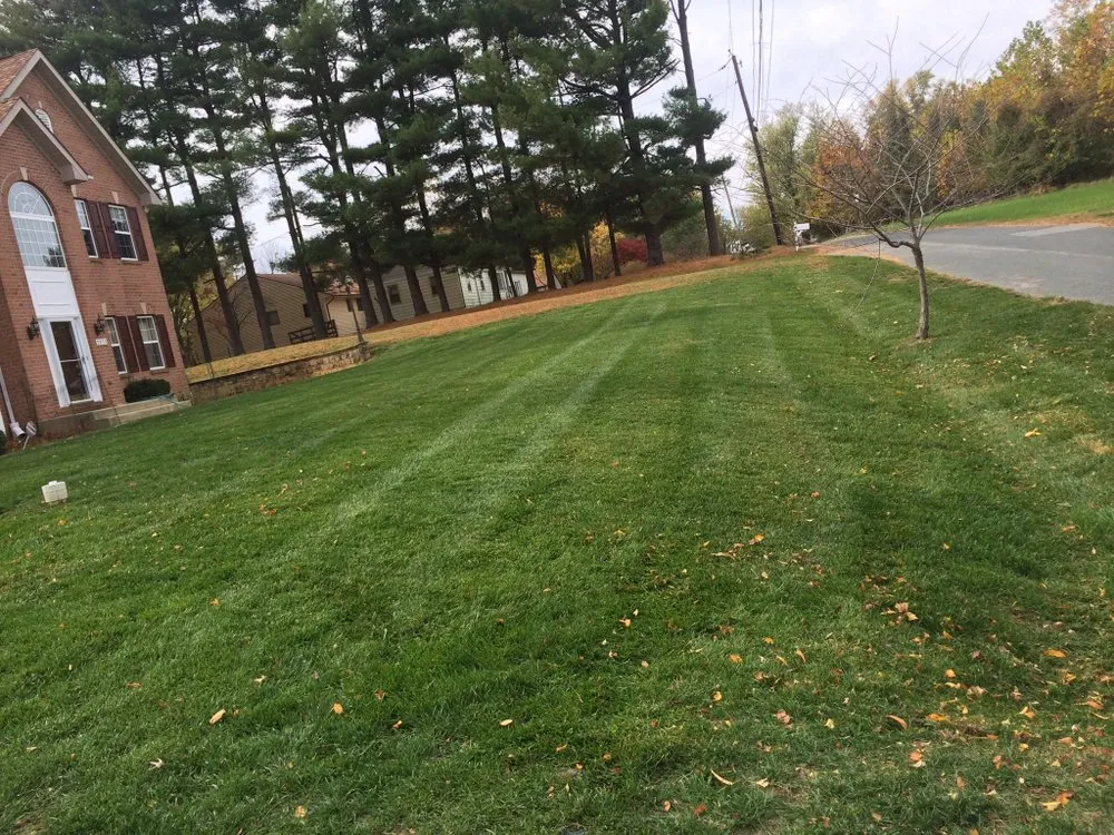 Trusted outdoor landscaping in Severn, MD by Professional Landscape And Tree Service