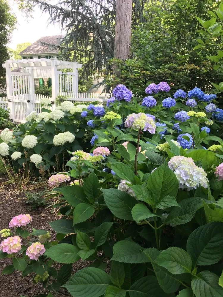 Top-rated outdoor landscaping in Schnecksville, PA - Professional Landscape Associates