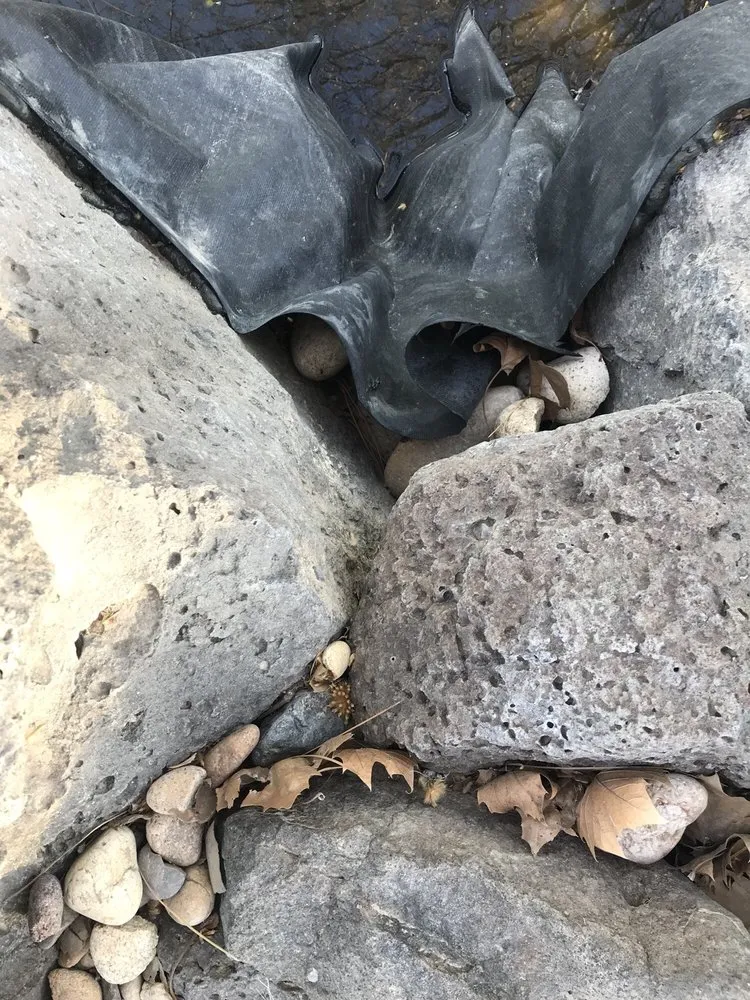 Local outdoor landscaping experts serving Caldwell, ID - Professional landscape Construction