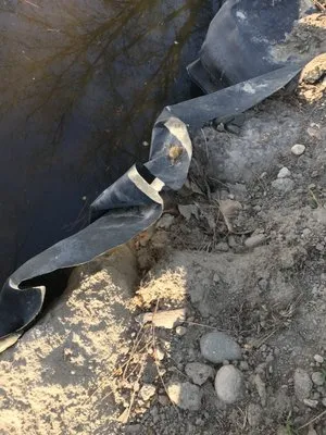 Professional landscape Construction Logo