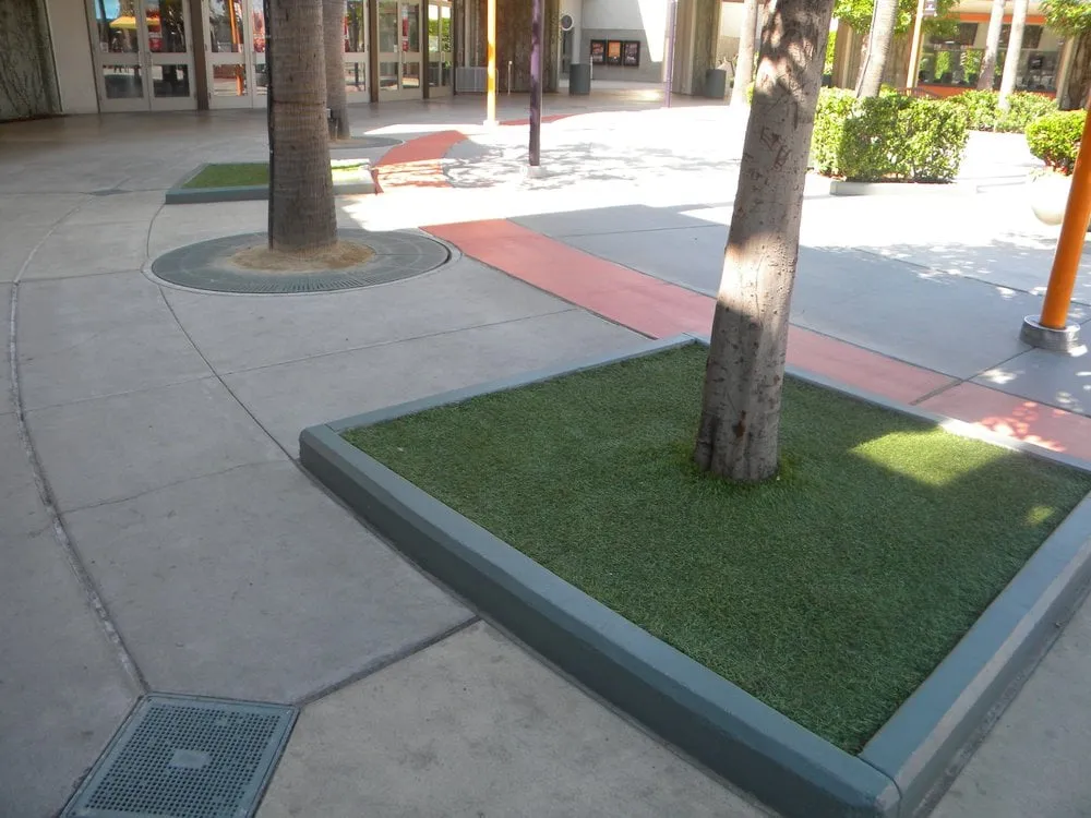 Professional landscaping services for year-round maintenance in Santa Ana, CA by Professional Landscape Maintenance