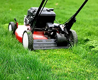 Professional Landscape Maintenance Service Inc