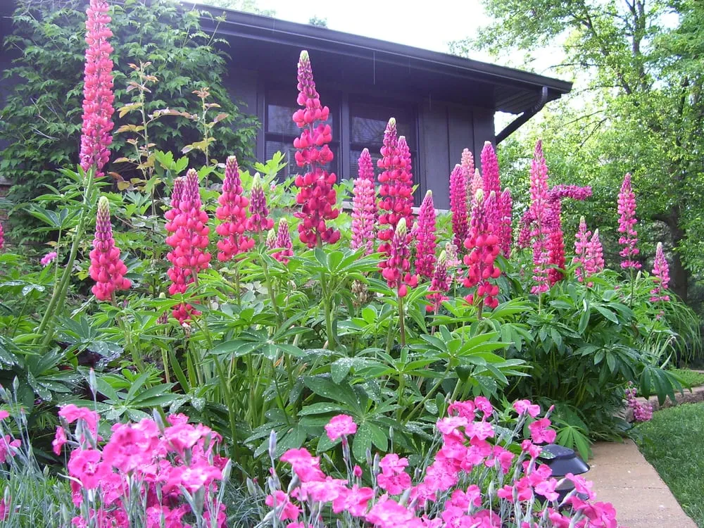 Expert landscaping services for outdoor upgrades in Green Bay, WI by Professional Landscape Management