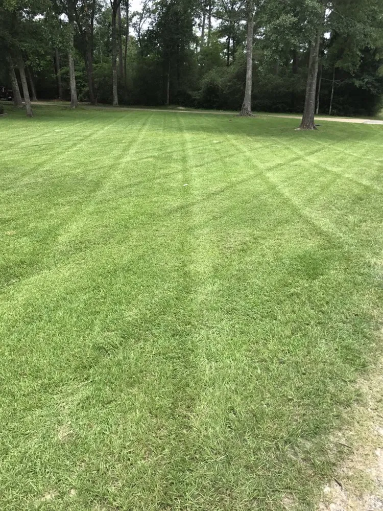 Trusted outdoor landscaping in Huntsville, TX by Professional Landscape Management