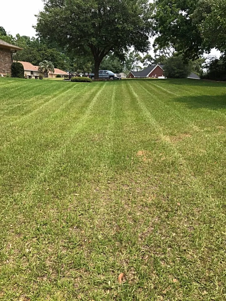 Reliable yard maintenance in Huntsville, TX - Professional Landscape Management