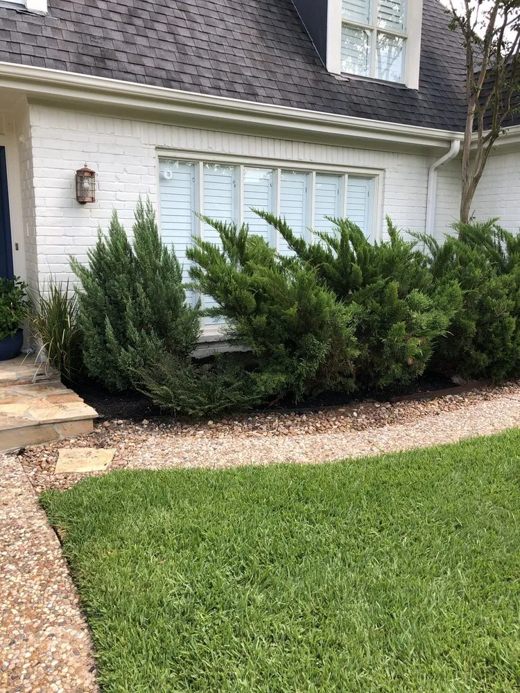 Local lawn mowing service experts serving Huntsville, TX - Professional Landscape Management