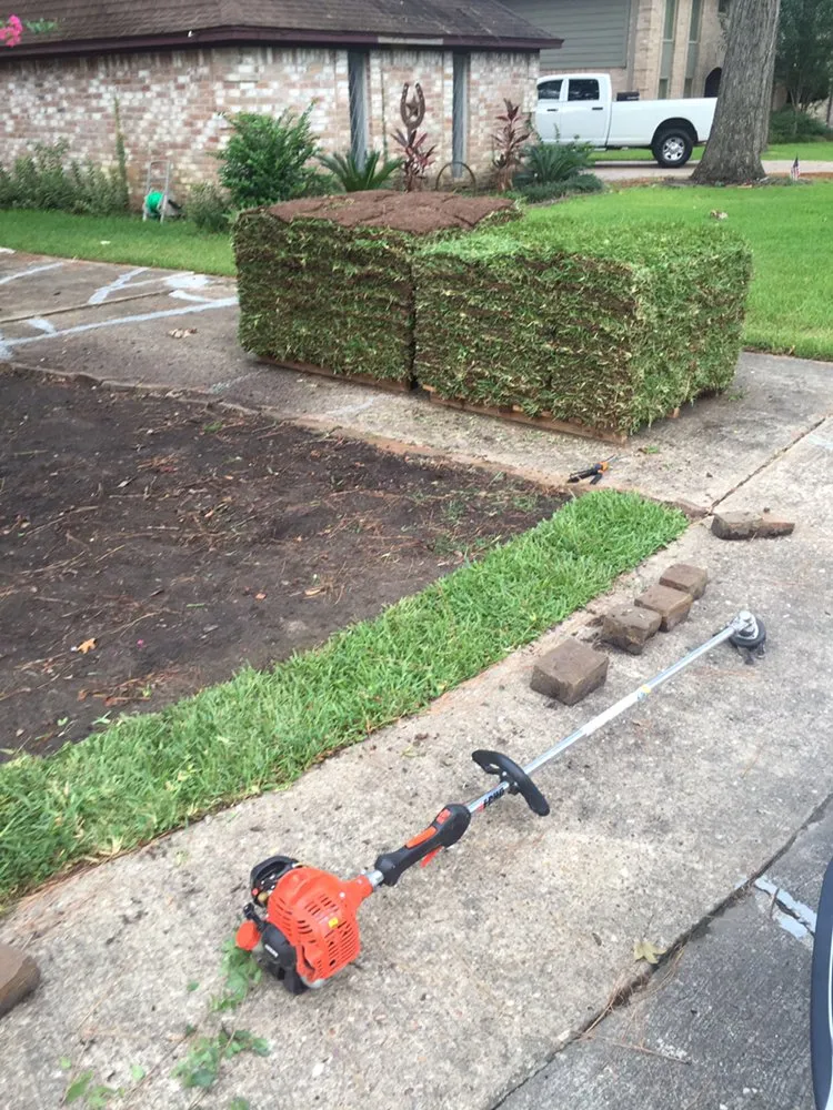 Custom yard cleanup service for homes in Huntsville, TX by Professional Landscape Management