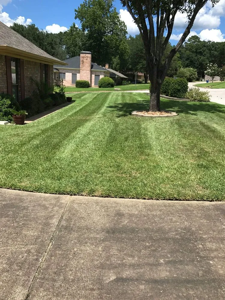 Top-rated garden landscaping experts serving Huntsville, TX - Professional Landscape Management
