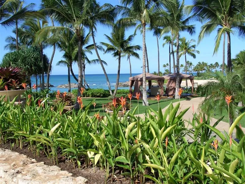 Expert residential landscaping for homes across Mililani, HI - Professional Landscape Management