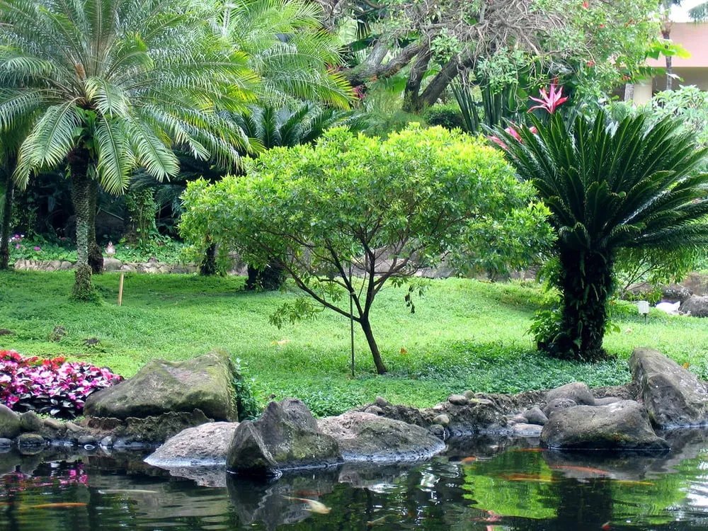 Custom residential landscaping for beautiful yards in Mililani, HI by Professional Landscape Management