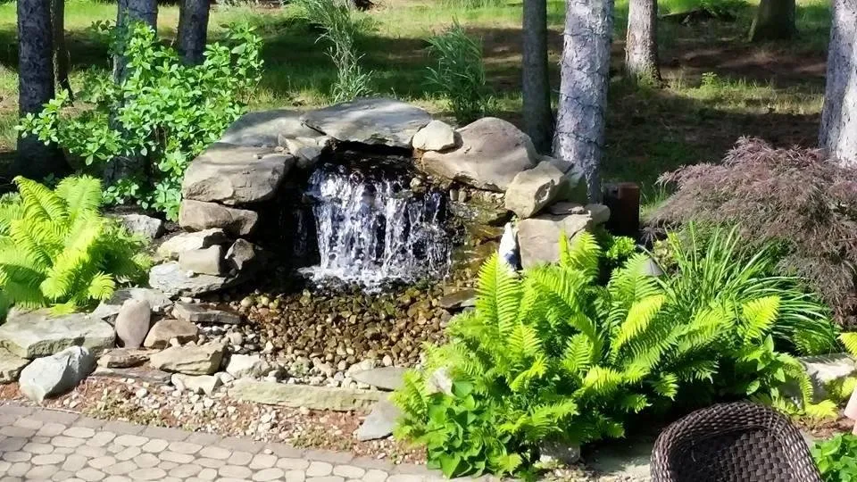 Trusted yard maintenance in Mars, PA by Professional Landscape Service