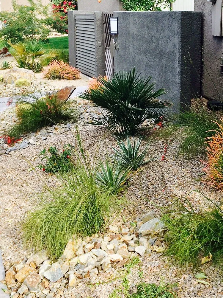Trusted outdoor landscaping in Palm Desert, CA - Professional Landscape Services
