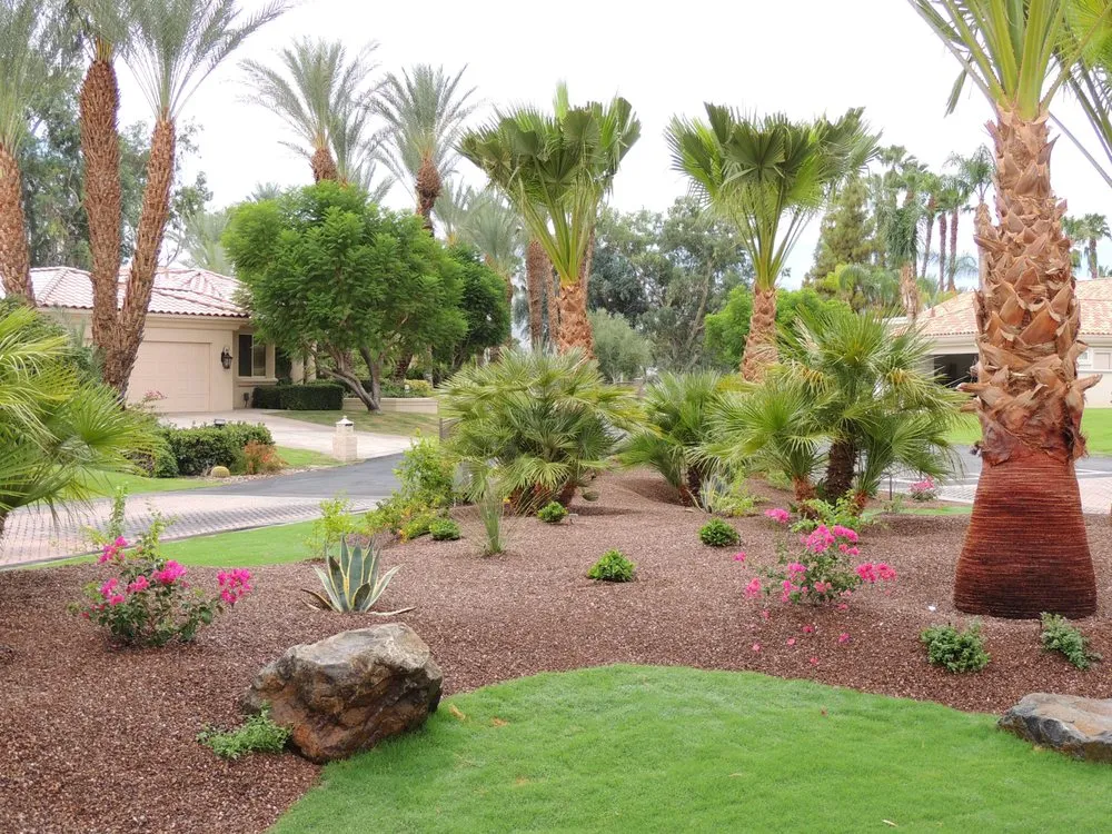 Affordable landscape design in Palm Desert, CA - Professional Landscape Services