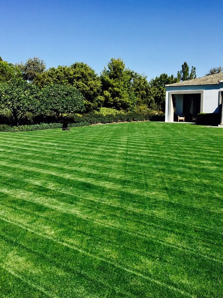 Expert lawn mowing service for outdoor upgrades across Palm Desert, CA - Professional Landscape Services