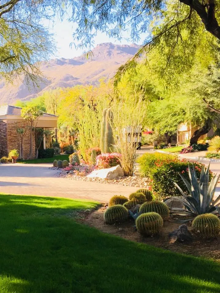 Expert lawn care service near you across Palm Desert, CA - Professional Landscape Services