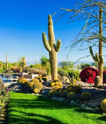 Professional Landscape Services Logo