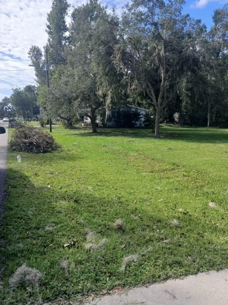 Reliable landscape installation near you in Titusville, FL by Professional Landscaping & Property Services