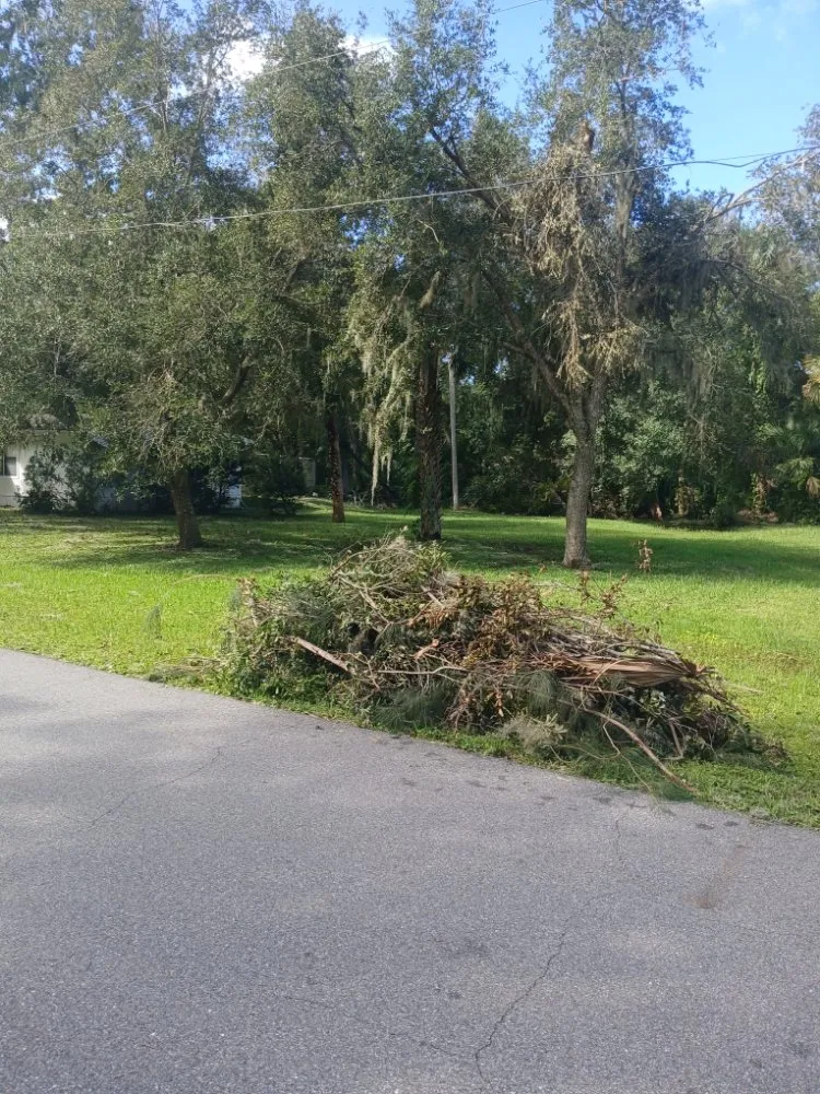 Professional landscape installation in Titusville, FL by Professional Landscaping & Property Services