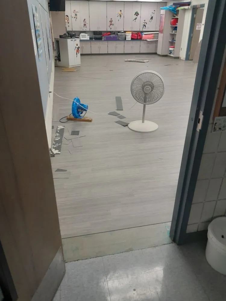 Local landscape installation with custom design in Titusville, FL by Professional Landscaping & Property Services