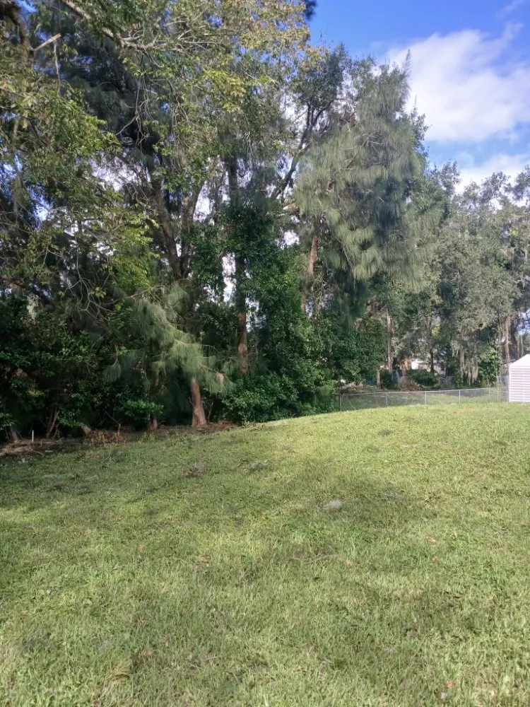 Local garden landscaping with custom design in Titusville, FL by Professional Landscaping & Property Services