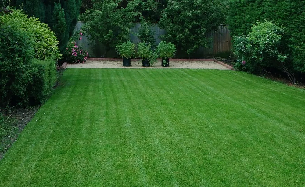 Custom landscape design for beautiful yards across Fort Lauderdale, FL - Professional Landscaping And Carpet Cleaning