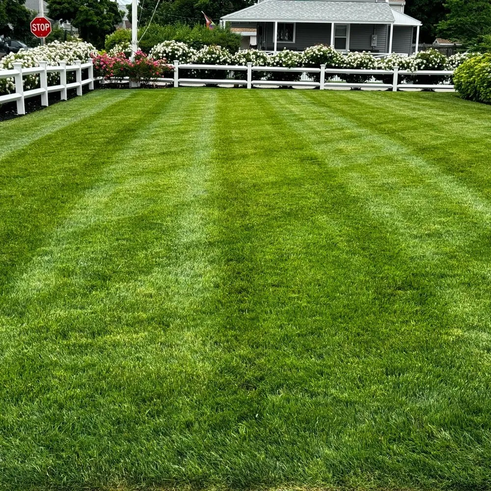 Reliable landscaping services for residential properties in Abington, MA by Professional Landscaping And Construction